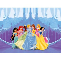 0264FTDΦΩΤΟΤΑΠΕΤΣΑΡΙΑ N(STANDARD) DISNEY A&G 360*254  