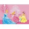 0286FTD ΦΩΤΟΤΑΠΕΤΣΑΡΙΑ DISNEY O A&G 160*115  