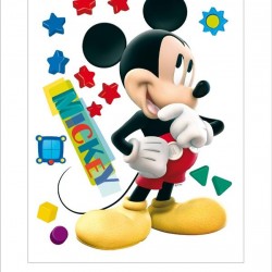 858DK ΑΥΤΟΚΟΛΛΗΤΟ ΤΟΙΧΟΥ R DISNEY A&G  