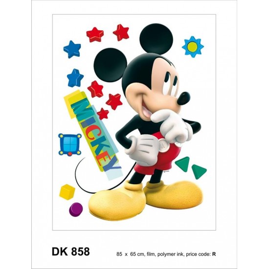 858DK ΑΥΤΟΚΟΛΛΗΤΟ ΤΟΙΧΟΥ R DISNEY A&G  
