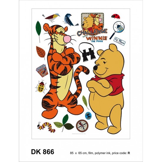 866DK ΑΥΤΟΚΟΛΛΗΤΟ ΤΟΙΧΟΥ R DISNEY A&G  